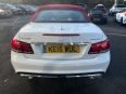 MERCEDES E-CLASS E220 BLUETEC AMG LINE - 1668 - 9